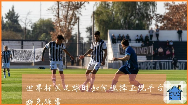 世界杯买足球时如何选择正规平台避免踩雷