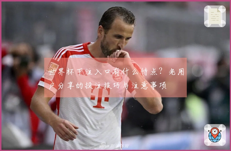 世界杯下注入口有什么特点？老用户分享的投注技巧与注意事项