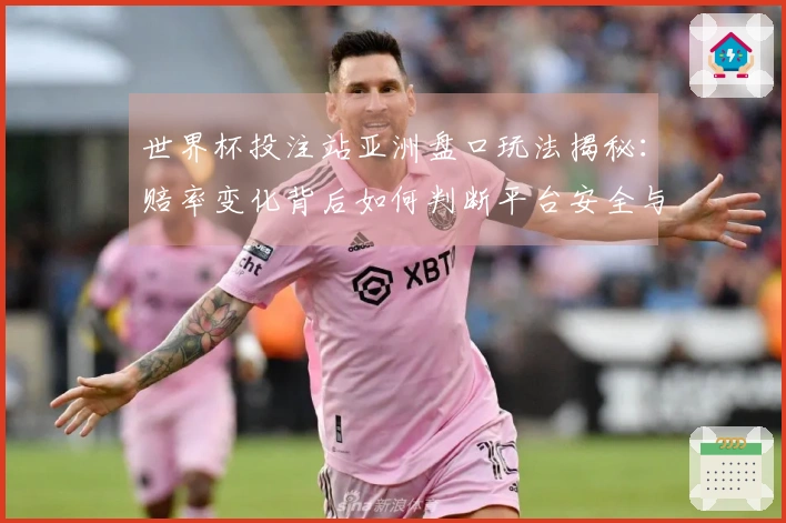 世界杯投注站亚洲盘口玩法揭秘：赔率变化背后如何判断平台安全与合规
