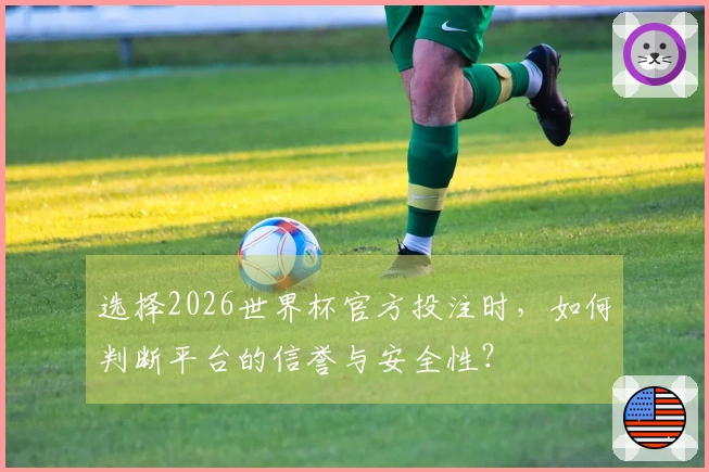 选择2026世界杯官方投注时，如何判断平台的信誉与安全性？