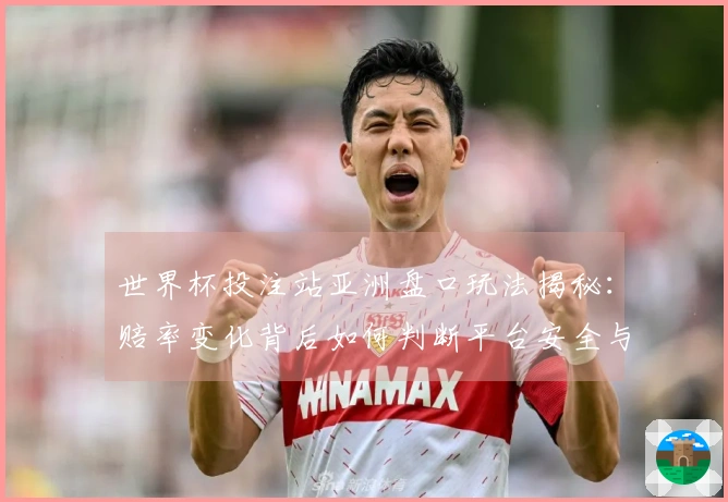 世界杯投注站亚洲盘口玩法揭秘：赔率变化背后如何判断平台安全与合规