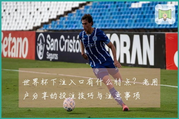 世界杯下注入口有什么特点？老用户分享的投注技巧与注意事项